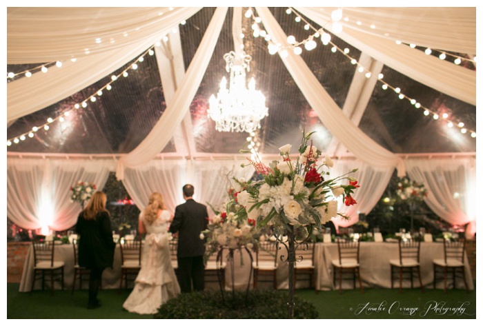 View More: http://amalieorrangephotography.pass.us/vendorimagescarrieanddoug